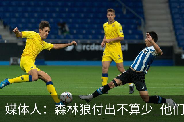 媒体人：森林狼付出不算少 他们确实需要变化 之前的阵容到上限了